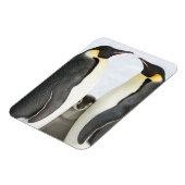 Kaiserpinguine mit Kick - Magnet (Linke Seite)