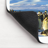 Kaiserpinguine Mousepad (Ecke)