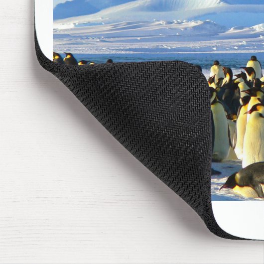 Kaiserpinguine Mousepad (Ecke)