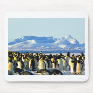 Kaiserpinguine Mousepad