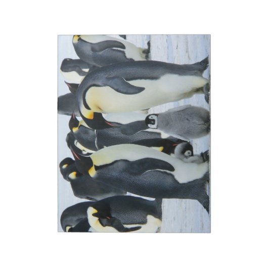 Kaiserpinguine Notizblock (Rotiert)