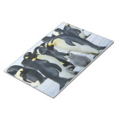 Kaiserpinguine Notizblock (angewinkelt)