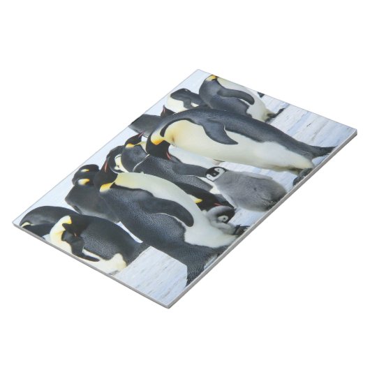 Kaiserpinguine Notizblock (angewinkelt)