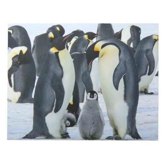Kaiserpinguine Notizblock (Vorderseite)