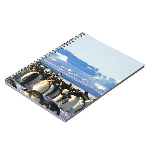 Kaiserpinguine Notizblock (Linke Seite)