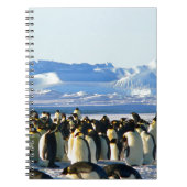 Kaiserpinguine Notizblock (Vorderseite)