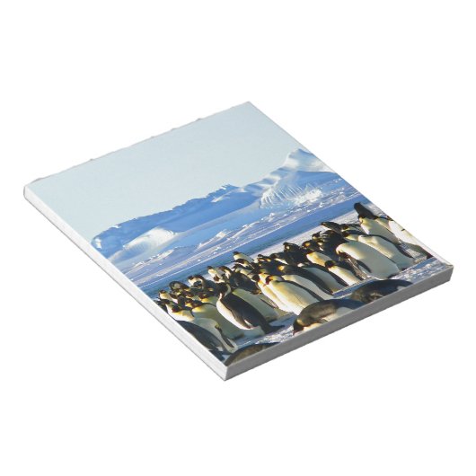 Kaiserpinguine Notizblock (angewinkelt)