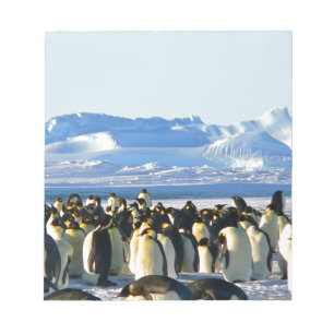 Kaiserpinguine Notizblock