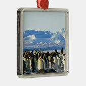 Kaiserpinguine Ornament Aus Metall (Rechts)