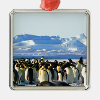 Kaiserpinguine Ornament Aus Metall
