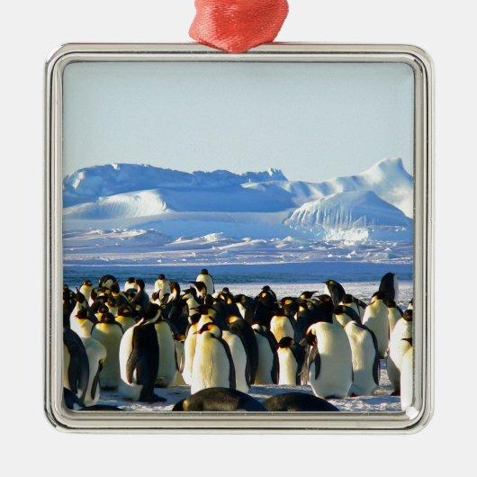 Kaiserpinguine Ornament Aus Metall (Vorne)