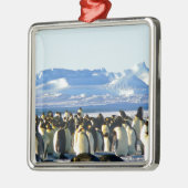 Kaiserpinguine Ornament Aus Metall (Links)