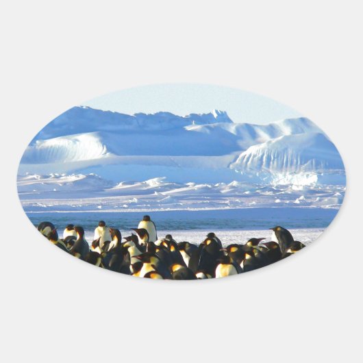 Kaiserpinguine Ovaler Aufkleber (Vorderseite)