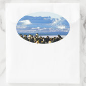 Kaiserpinguine Ovaler Aufkleber (Tasche)