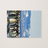 Kaiserpinguine Puzzle (Horizontal)