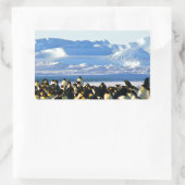 Kaiserpinguine Rechteckiger Aufkleber (Tasche)