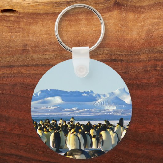 Kaiserpinguine Schlüsselanhänger (Vorderseite)