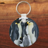 Kaiserpinguine Schlüsselanhänger (Vorderseite)