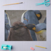 Kaiserpinguinpapier Seidenpapier (Basteln)