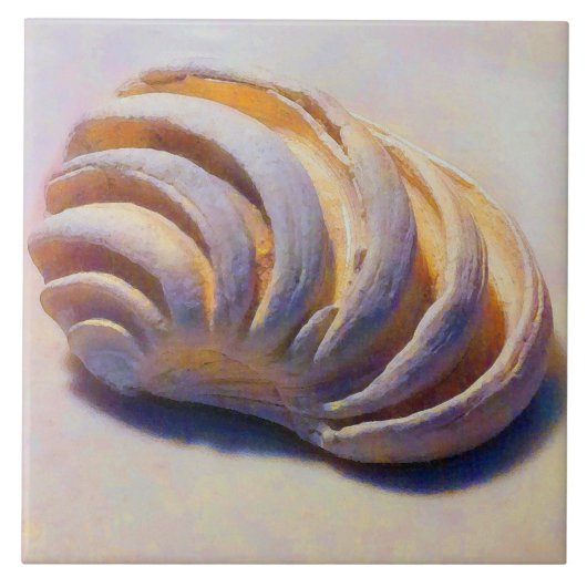 Kaiservenus-Muschel Fliese (Vorderseite)