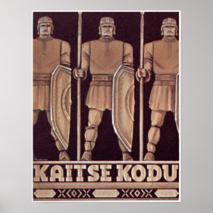 Kaitse Kodu Plakat