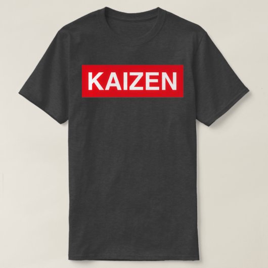 Kaizen T-Shirt (Design vorne)