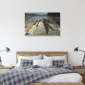 Kajaks auf Dicebox Island, Broken Island Group, Leinwanddruck (Insitu (Schlafzimmer))