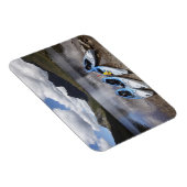 Kajaks, Cradle Mountain und Dove Lake, Cradle Magnet (Rechte Seite)