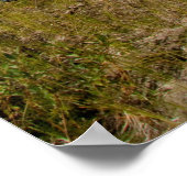 Kajaks in der Erholung Poster (Ecke)