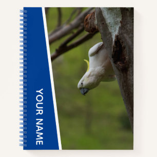 Kakadu Australien Papagei Kopfstand, Lustiger Blau Notizblock