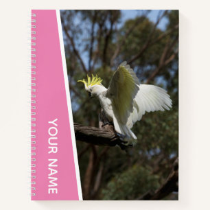 Kakadu Australien Papagei Vogel Flügel, Rosa Notizblock