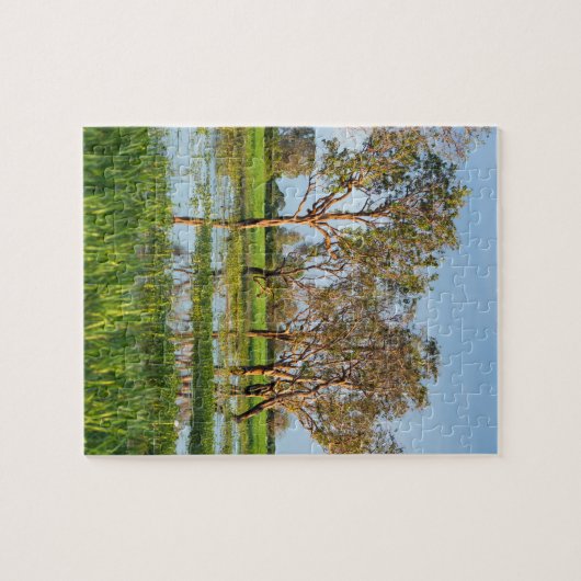 Kakadu billabong Northern Territory Australien Puzzle (Horizontal)