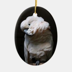 Kakadu Keramikornament
