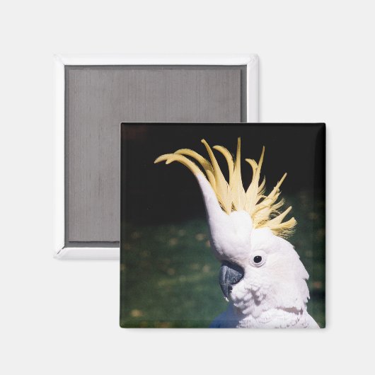 Kakadu-Magnet Magnet (Vorderseite/Rückseite)