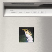 Kakadu-Magnet Magnet (In Situ (Geschirrspüler))