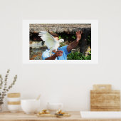 Kakadu mit Flügel Poster (Küche)