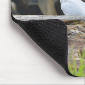 Kakadu Mousepad (Ecke)