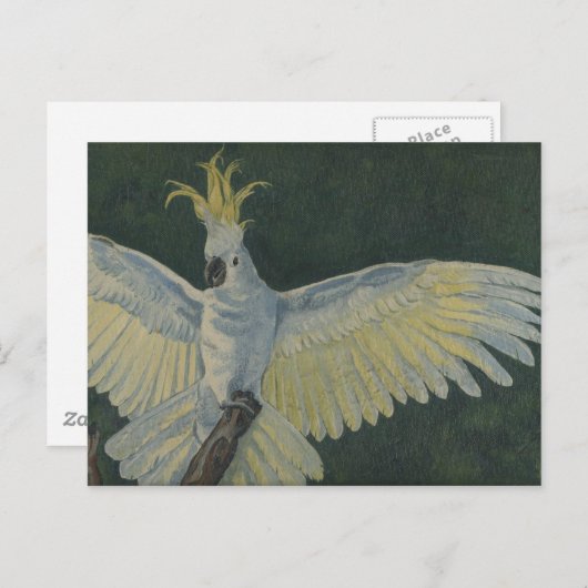Kakadu Postkarte (Vorne/Hinten)