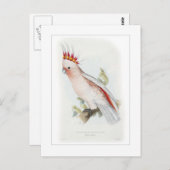 Kakadu Postkarte (Vorne/Hinten)