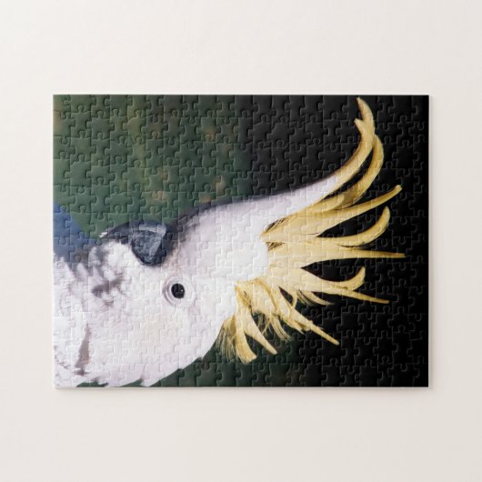 Kakadu-Puzzle mit Schwefelkies Puzzle (Horizontal)