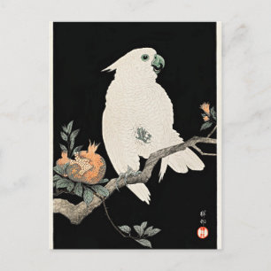 Kakadu und Granatapfel, Kunst von Ohara Koson Postkarte