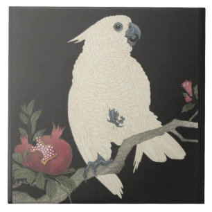 Kakadu und Granatapfel von Ohara Koson Fliese