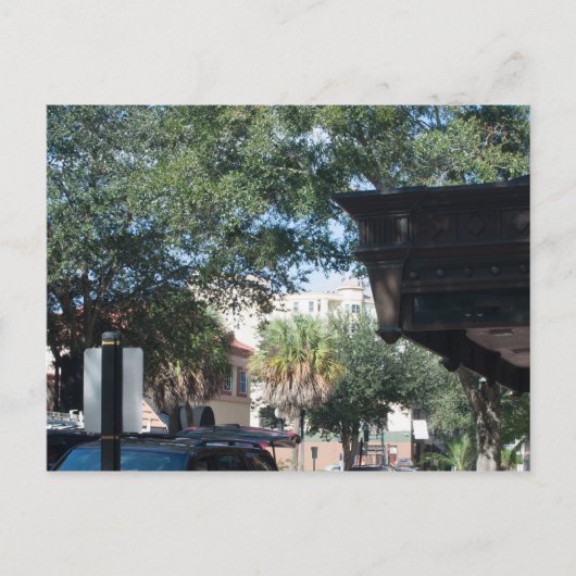 Kakao, Florida Postkarte (Vorderseite)