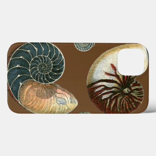 Kakao-Muschel Case-Mate iPhone Hülle (Rückseite (Horizontal))