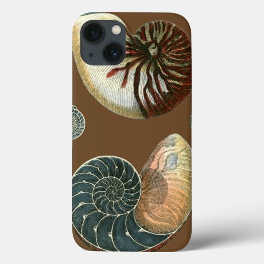 Kakao-Muschel Case-Mate iPhone Hülle (Rückseite)