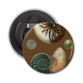 Kakao-Muschel Flaschenöffner (Vorderseite)