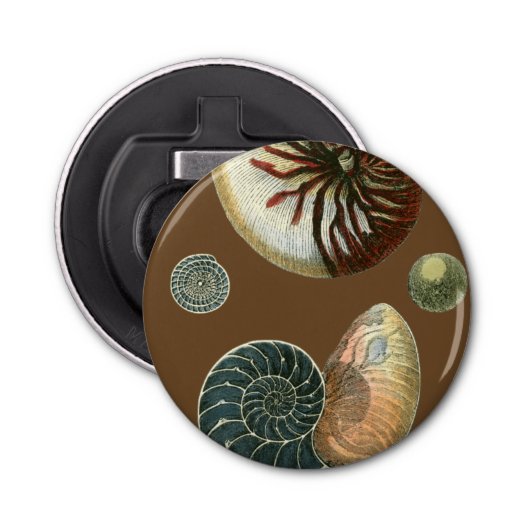 Kakao-Muschel Flaschenöffner (Vorderseite)