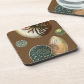 Kakao-Muschel Getränkeuntersetzer (Linke Seite)