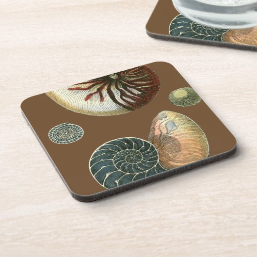 Kakao-Muschel Getränkeuntersetzer (Linke Seite)