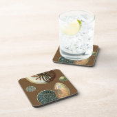 Kakao-Muschel Getränkeuntersetzer (Rechte Seite)